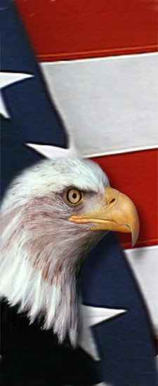 656 DLJ-410 With Love And Honor